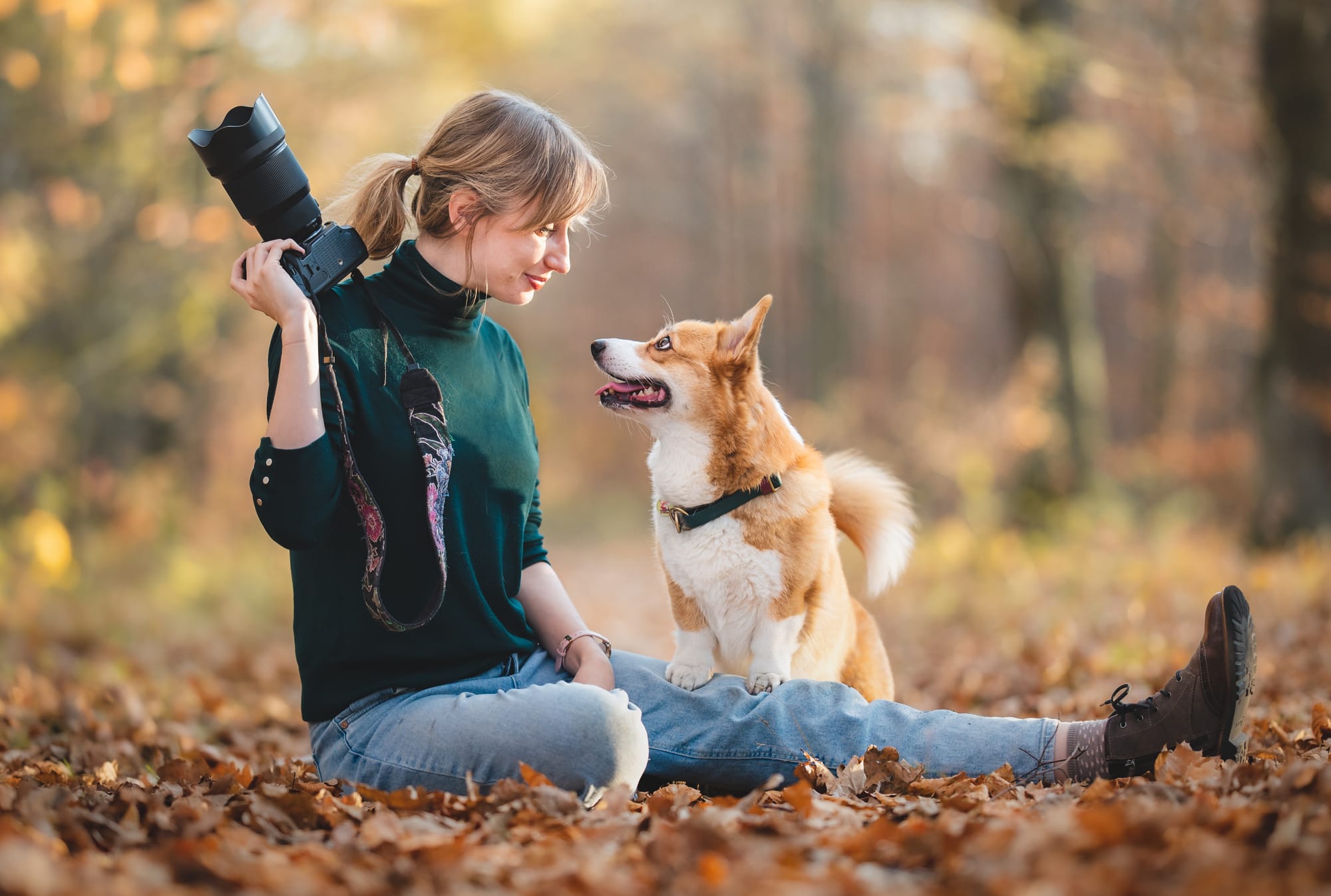 Foto día del perro